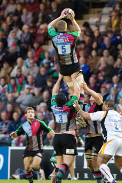 Harlequins