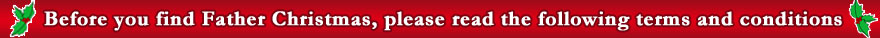 Find Father Christmas Terms and Conditions