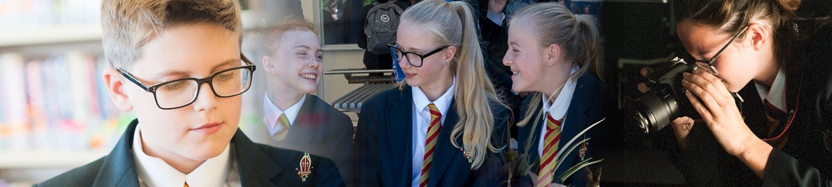 Banner Image