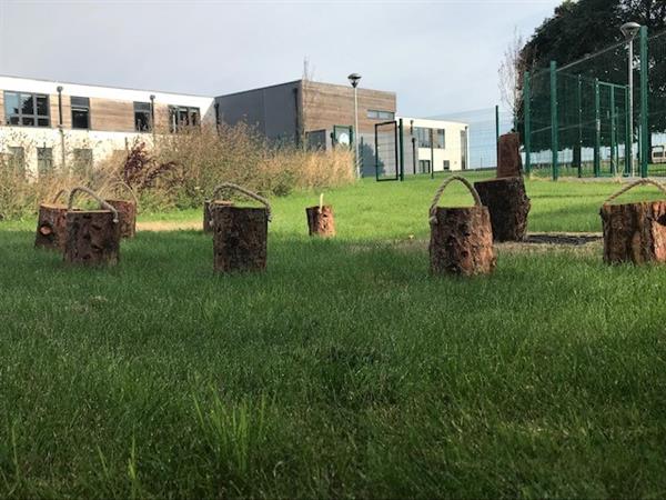 KD grass.jpg
