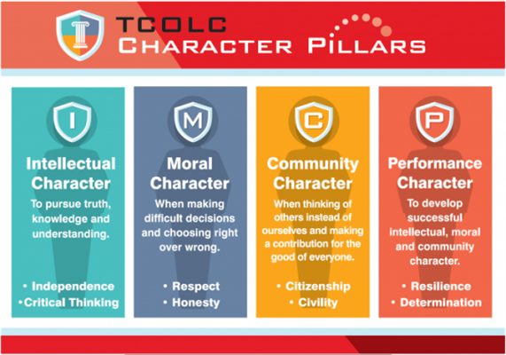 haracter-Pillars-700x490__ResizedImageWzYwMCw0MjBd.png