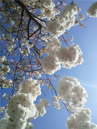 Thumb photo 324509