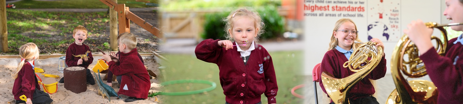 Banner Image Banner Image