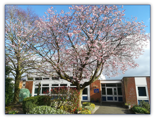 Blossom.png