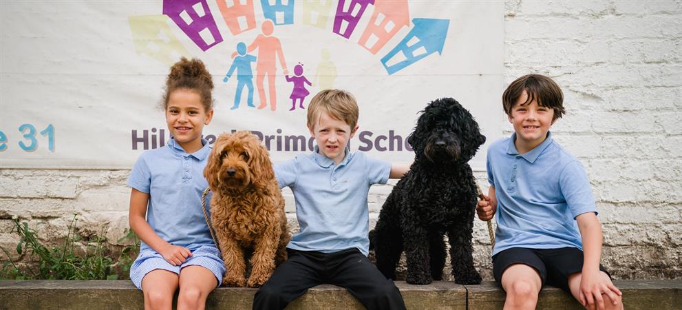 5fdfc6f3-d813-4966-b086-b12a23419685.jpg 5fdfc6f3-d813-4966-b086-b12a23419685.jpg