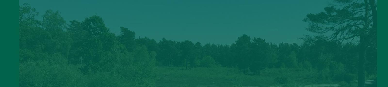 Banner Image Banner Image
