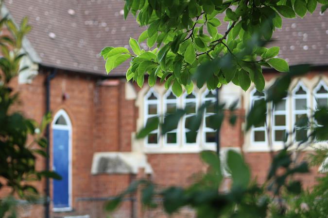 Thumb photo 244387