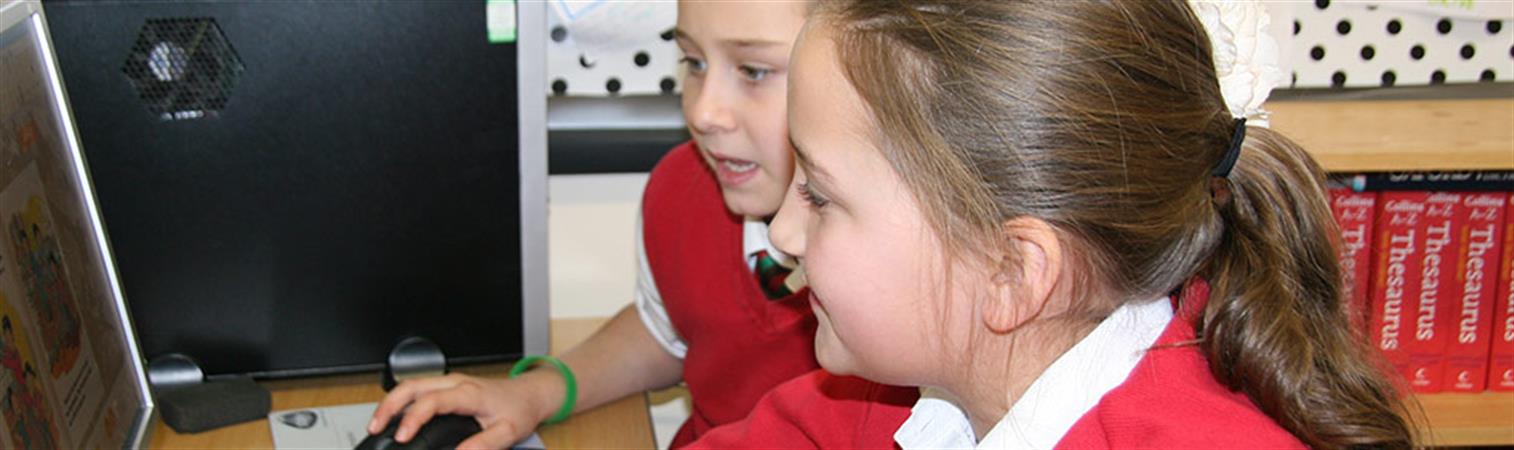 Thumb photo 244570