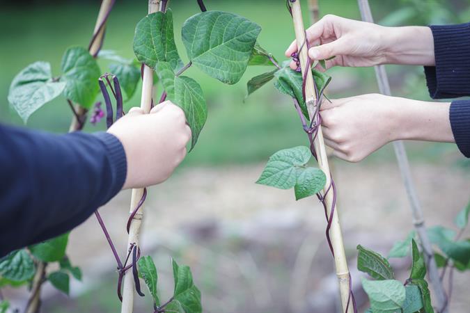 NS_-_Outside_Gardening_001.jpg