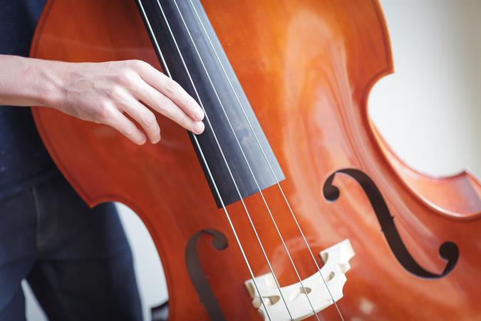 NS_-_Music_Double_Bass_008.jpg