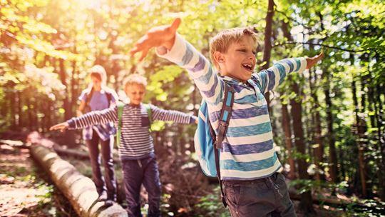 childrenwalkingonlog.jpg