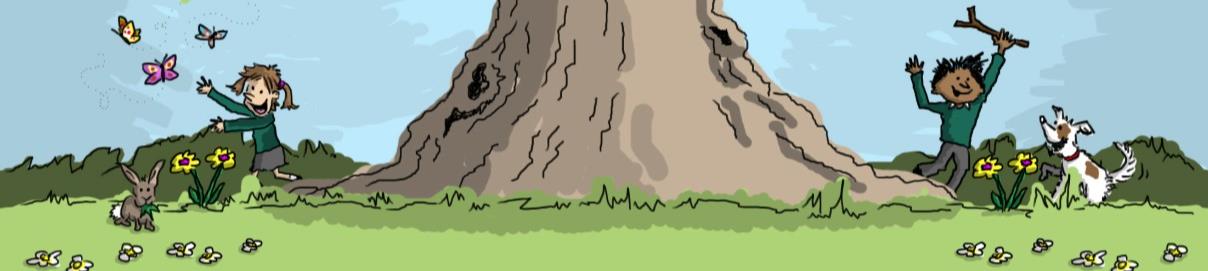 Banner Image