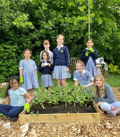 juniors_gardening.jpg