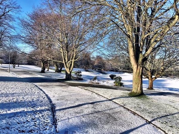 campus_snow_02.jpg