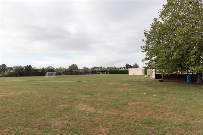 Normal photo 245046