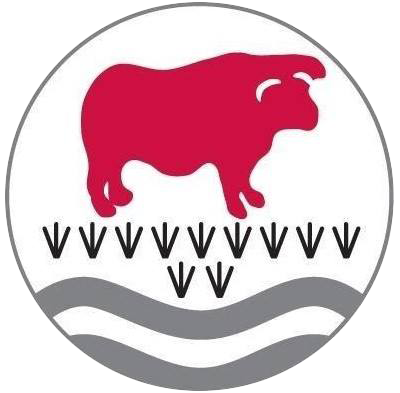 The Bulmershe School