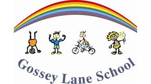 Gossey Lane Academy