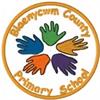 Blaen-Y-Cwm Primary
