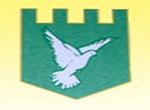 Raglan CIW VC Primary School