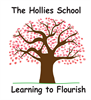 The Hollies Special School
