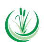 Rushy Meadow Primary Academy