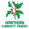 Hawthorn Primary School