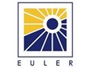 Euler Academy