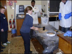 11b.jpg