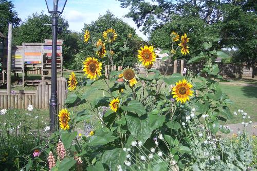 Thumb photo 206447