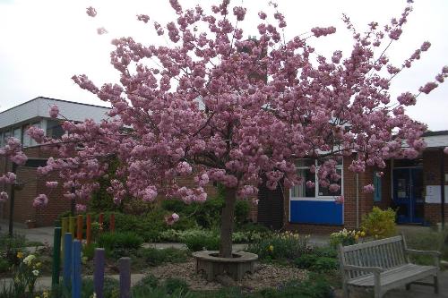Thumb photo 206451