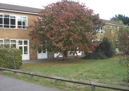 Thumb photo 208331