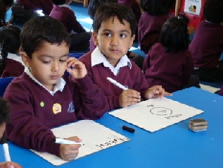 pic1.jpg