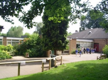 mountfields1.jpg