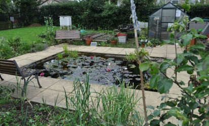 Garden.jpg