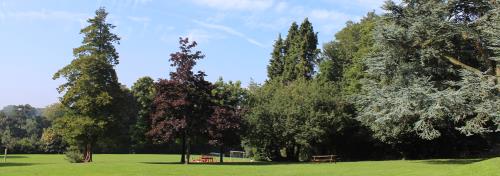 Home-banner-5.jpg