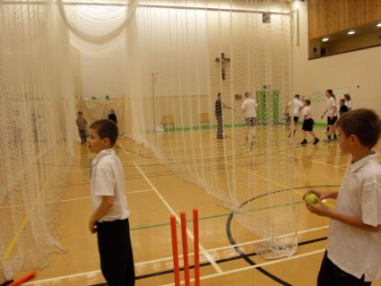 Cricket2.jpg