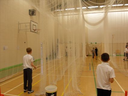 Cricket3.jpg