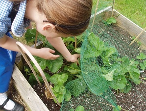 Gardening.jpg