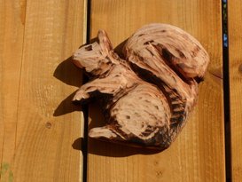 Thumb photo 216021