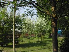 Thumb photo 216015