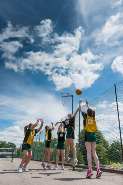 Netball.jpg