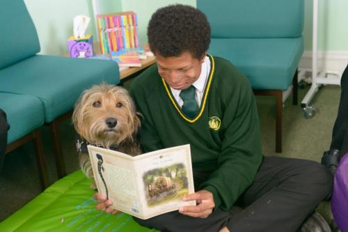 Reading.jpg