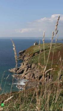 Thumb photo 250286