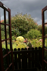 garden4.gif
