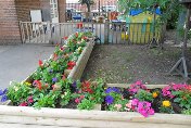Thumb photo 222349