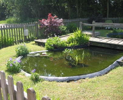 Garden.jpg
