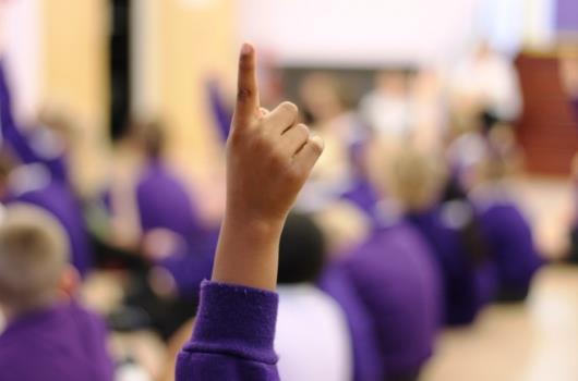 Thumb photo 240158