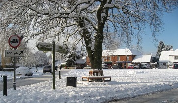 Thumb photo 203664