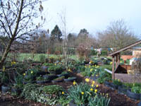 Thumb photo 204865
