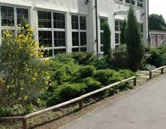 Thumb photo 204891